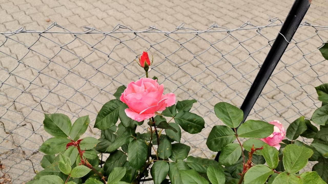 Hotel Pensione Serena Purasca Exteriör bild